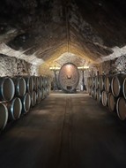 wine barrels 2