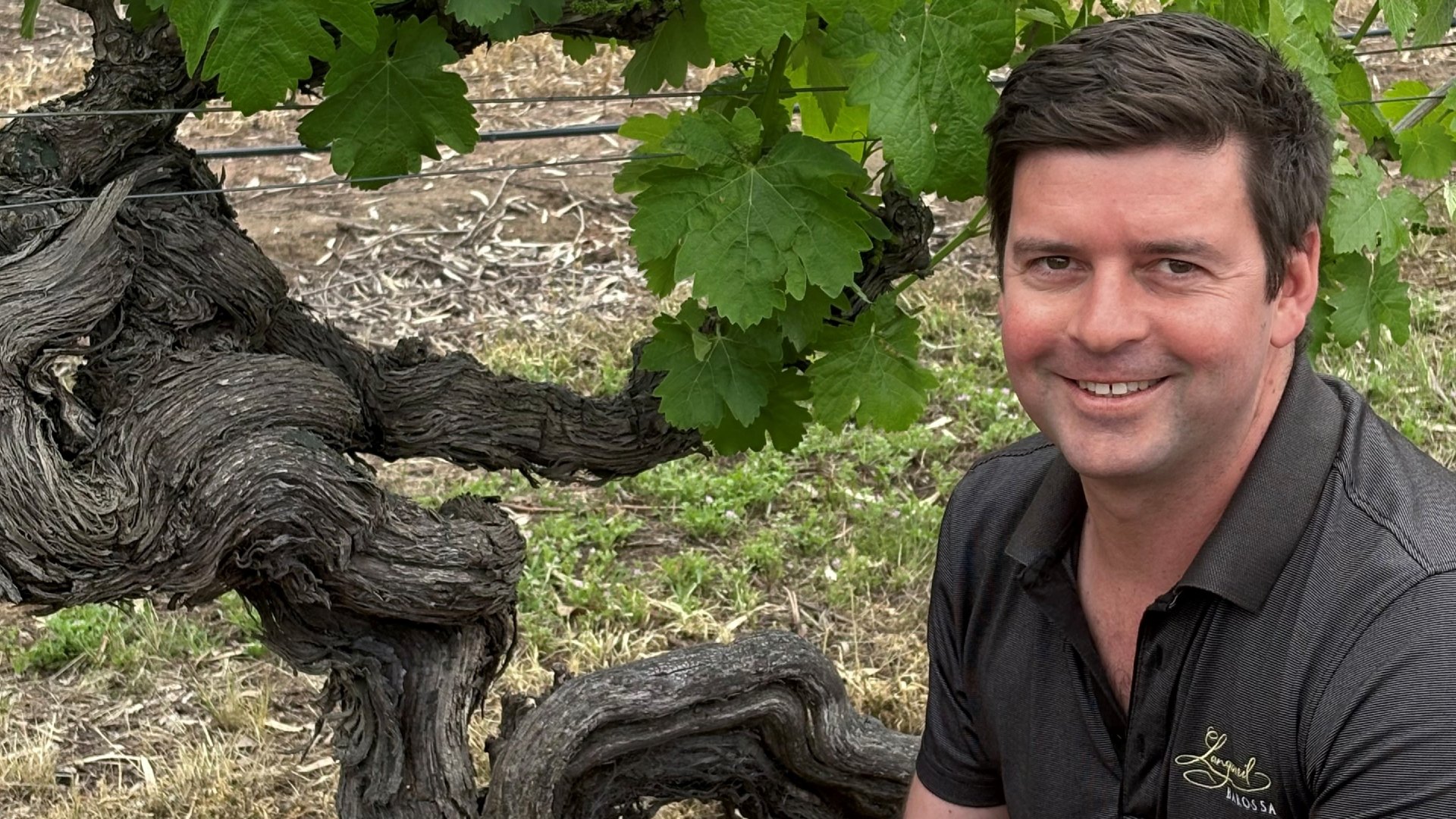 Hugh in the Freedom 1843 Shiraz Vineyard