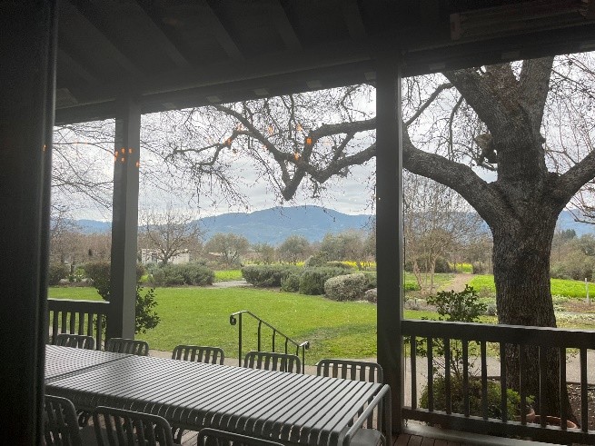 Buena-vista-winery-3