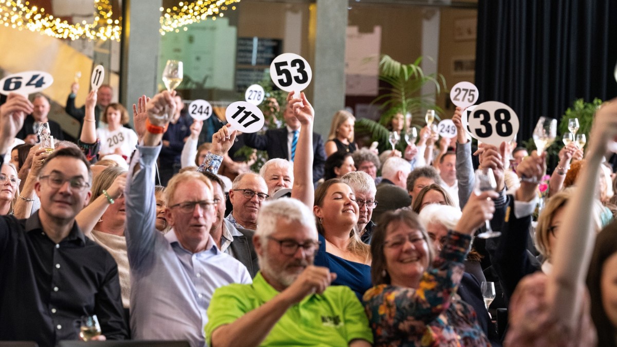 a room crowded with seated people holding up their bidding paddles at a wine auction