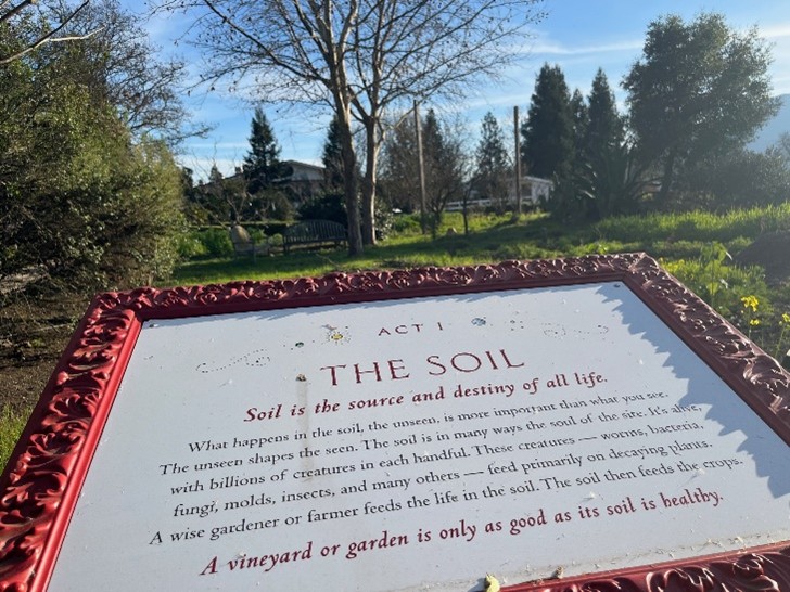 The soil